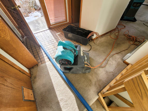 Best Basement water damage restoration  in Village Green, NY