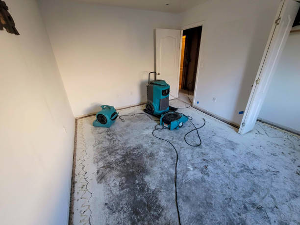 Best Flood restoration services  in Village Green, NY